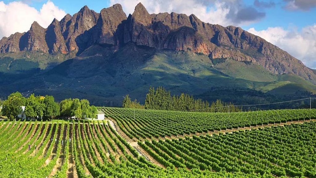 Famous Winelands Famous Winelands